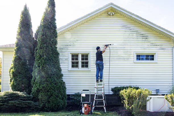 Best Sidewalk and Walkway Cleaning  in Felton, CA